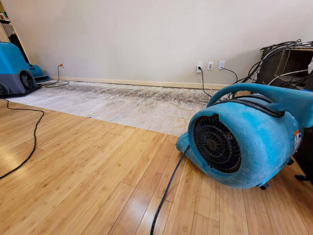 Professional Water Removal technician working in Cleveland, OH